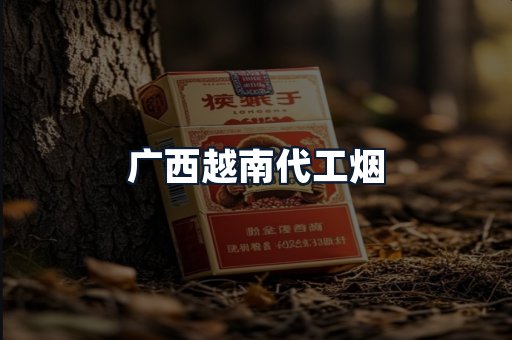 广西越南代工烟